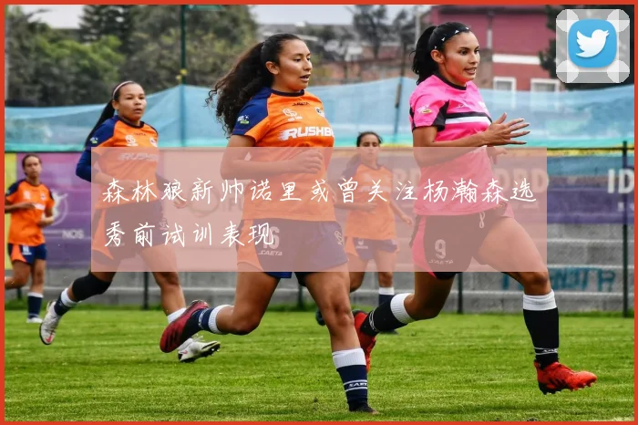 森林狼新帅诺里或曾关注杨瀚森选秀前试训表现