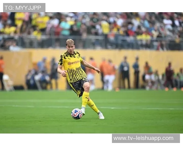 斯文松谈加盟多特：这是我职业生涯中的绝佳机会与完美契合